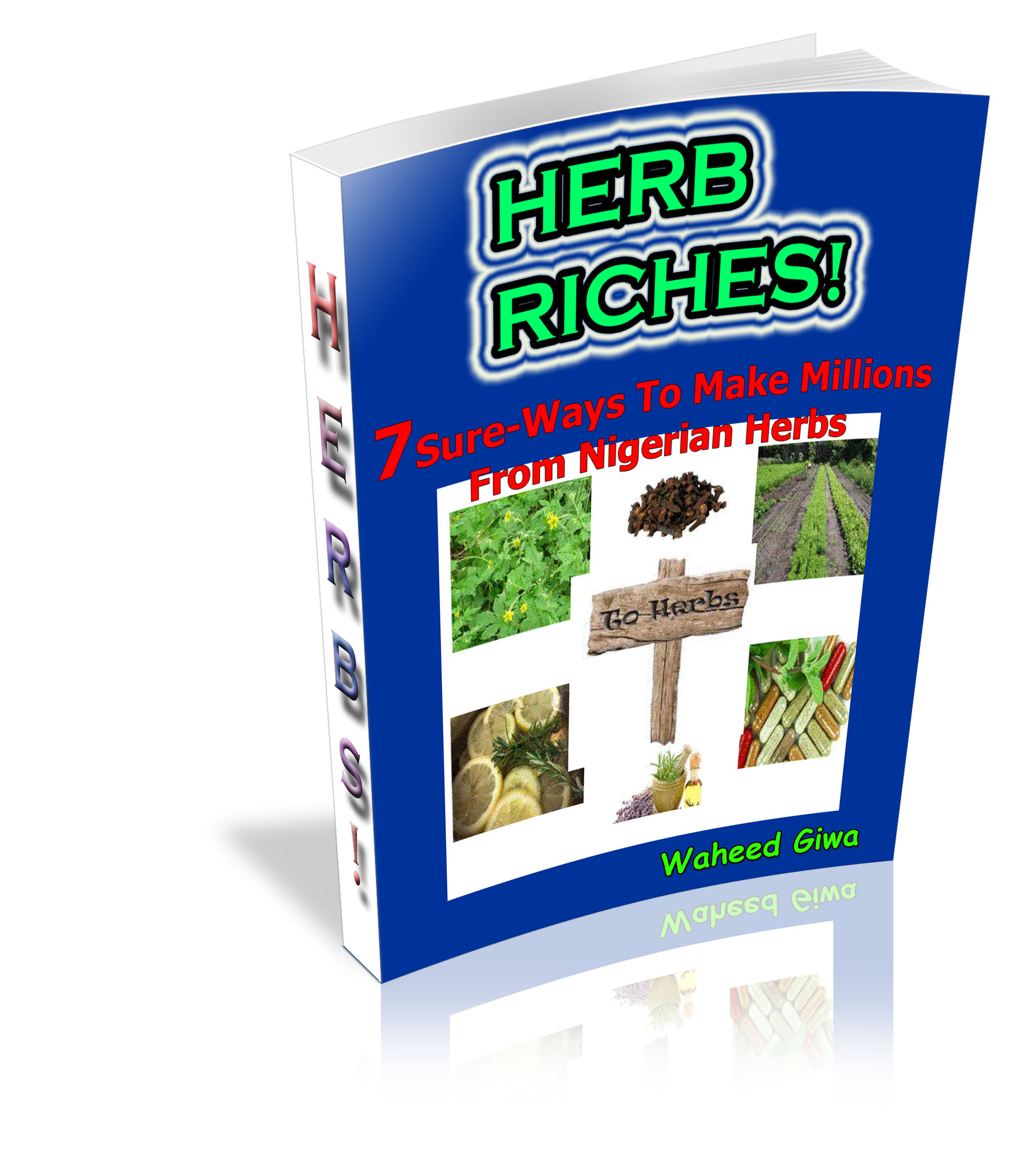 Herb Riches Cover